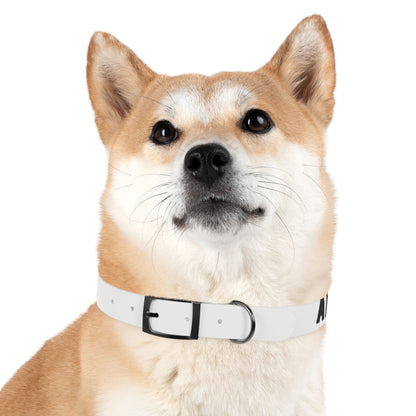 Dog Collar