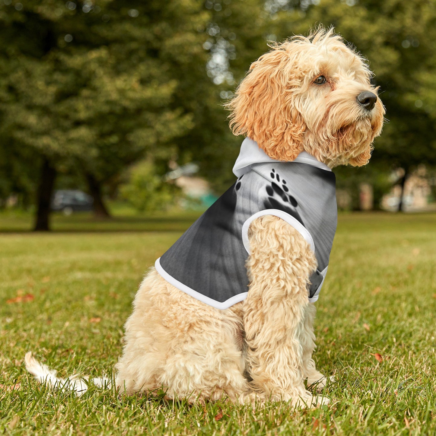 Pet Hoodie